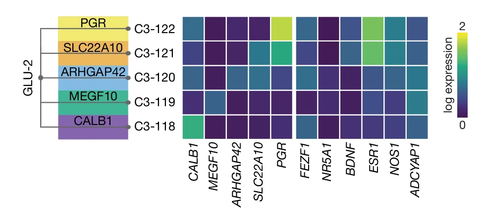 Open access visualization of Heatmap, Dendrogram, Log Expression, Gene Expression, PGR