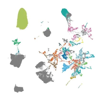Open access visualization of Scatter Plot, Cluster, Group, Colored cluster, snRNA-seq