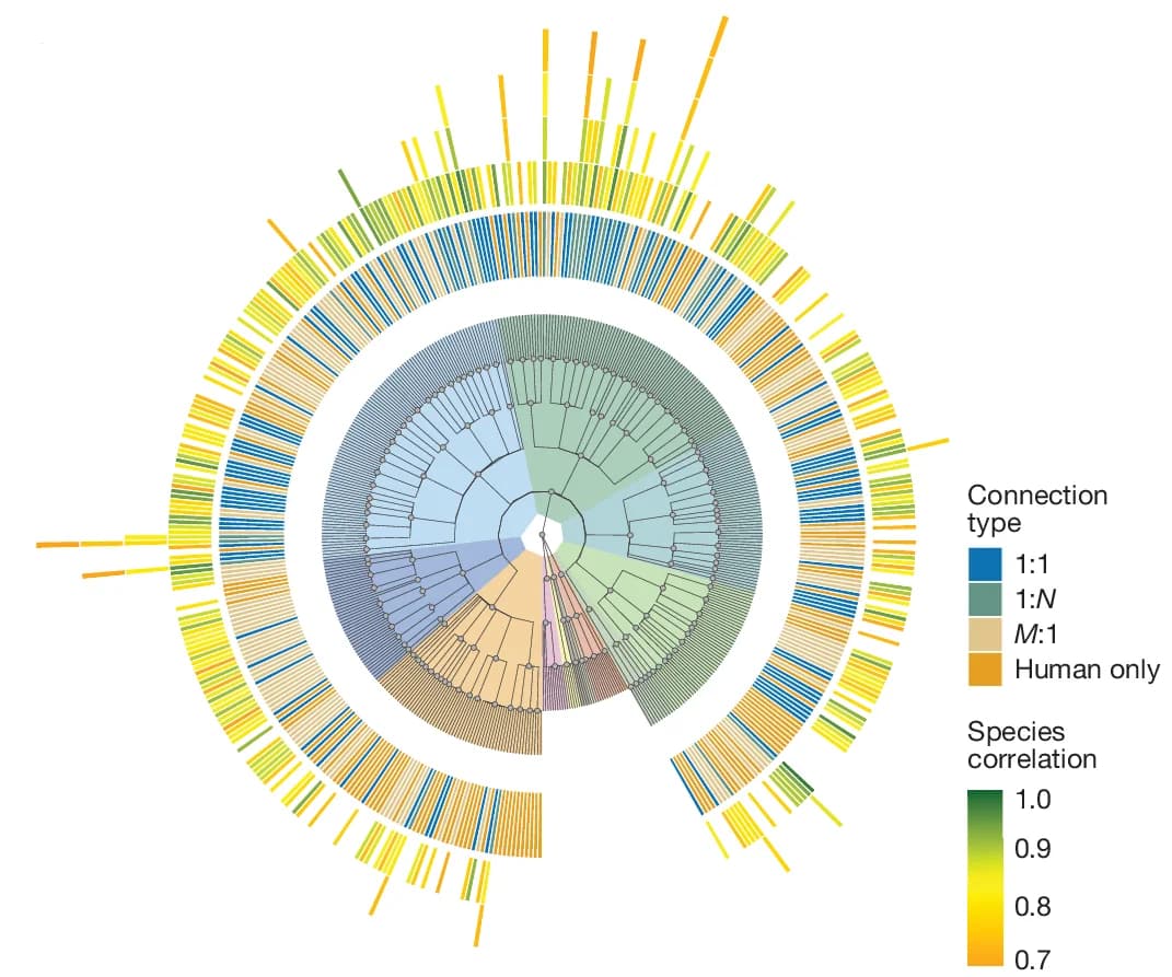 Open access visualization of Phylogenetic Tree, Circular Plot, Dendrogram, Cluster, Connection Type
