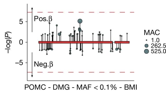 Open access visualization of Scatter Plot, Manhattan Plot, POMC, DMG, MAF