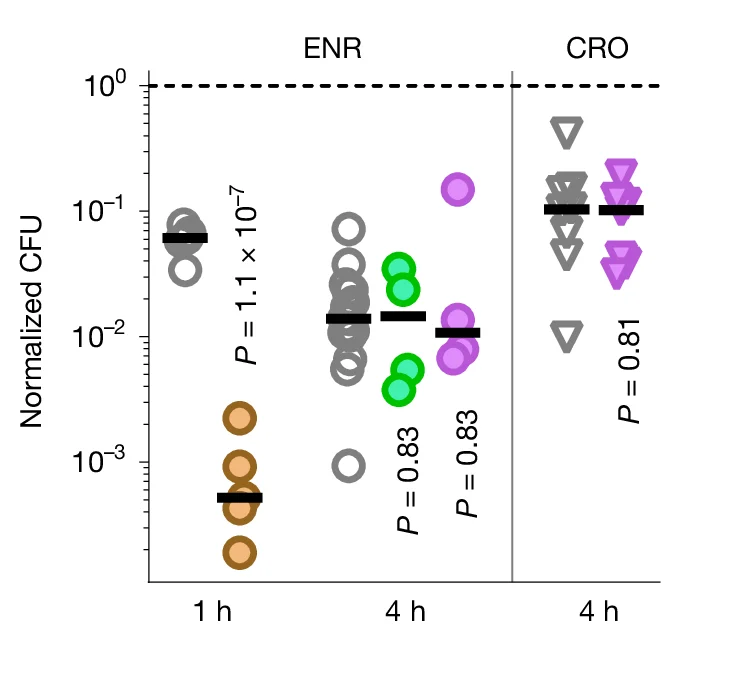 Open access visualization of Scatter Plot, Error Bars, Salmonella, Wild-Type, Mutant