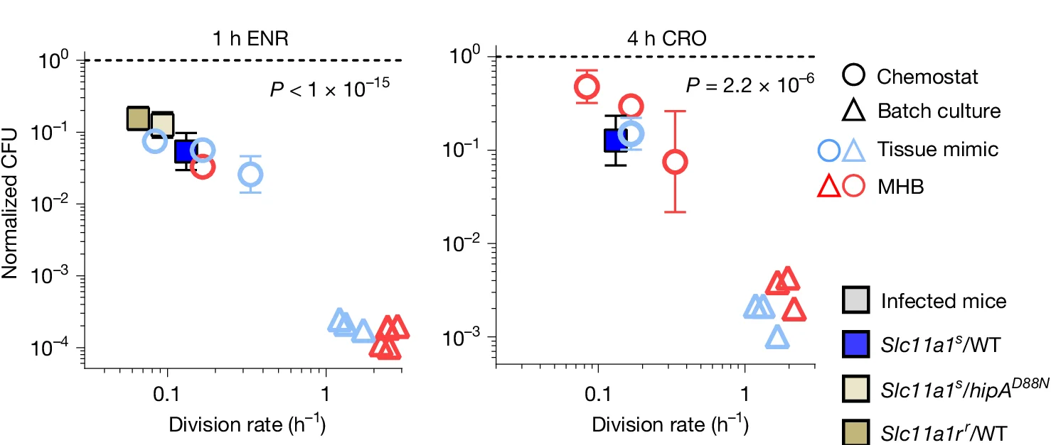 Open access visualization of Scatter Plot, Error Bars, Salmonella Survival, Mice, Enrofloxacin
