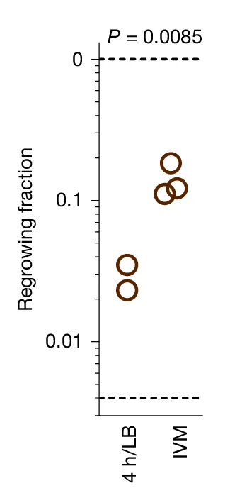 Open access visualization of Scatter Plot, Regrowing Cells, Enrofloxacin, LB, In Vivo-Mimicking Conditions