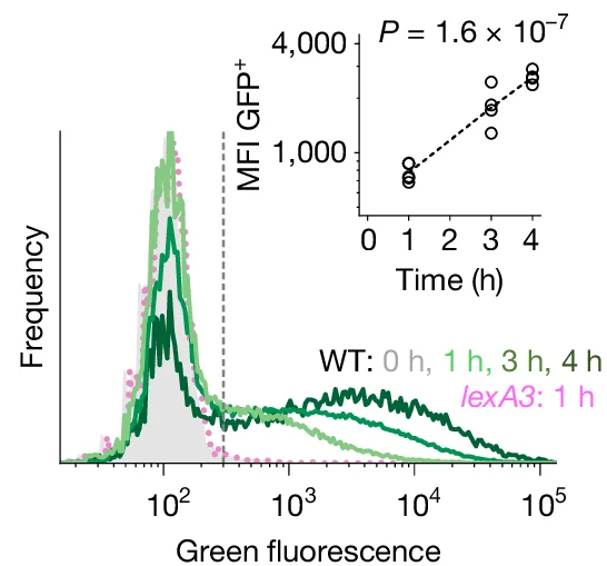 Open access visualization of Density Plot, Line Plot, Scatter Plot, Regression Plot, Fluorescence