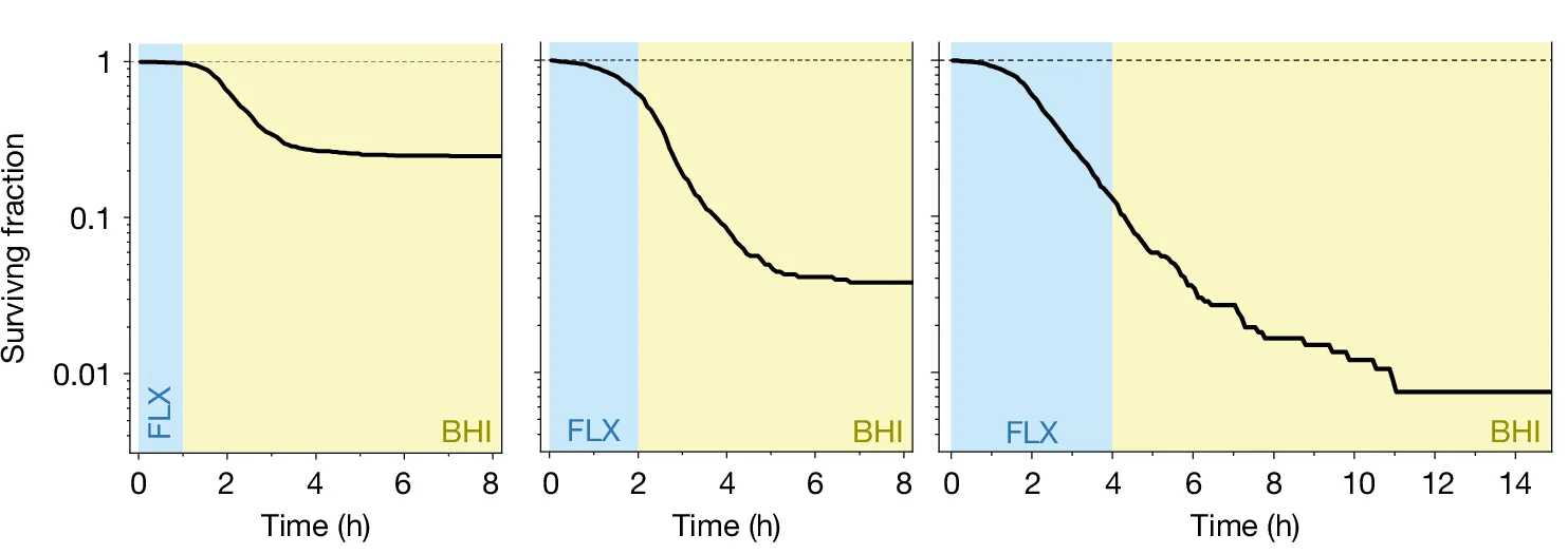 Open access visualization of Line Plot, Line Step, S. aureus, Flucloxacillin, Brain-Heart Infusion