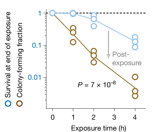 Open access visualization of Line Plot, Scatter Plot, S. aureus, Flucloxacillin, Brain-Heart Infusion