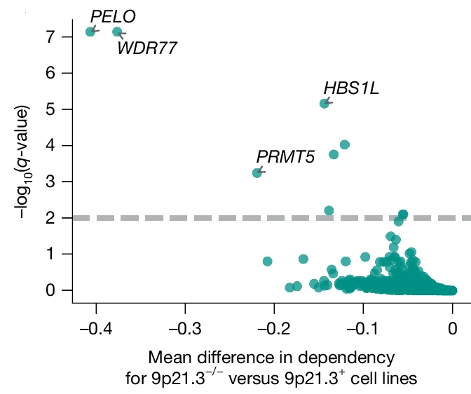 Open access visualization of Scatter Plot, q-values, Student's T-Test, 9p21.3, Gene Dependency