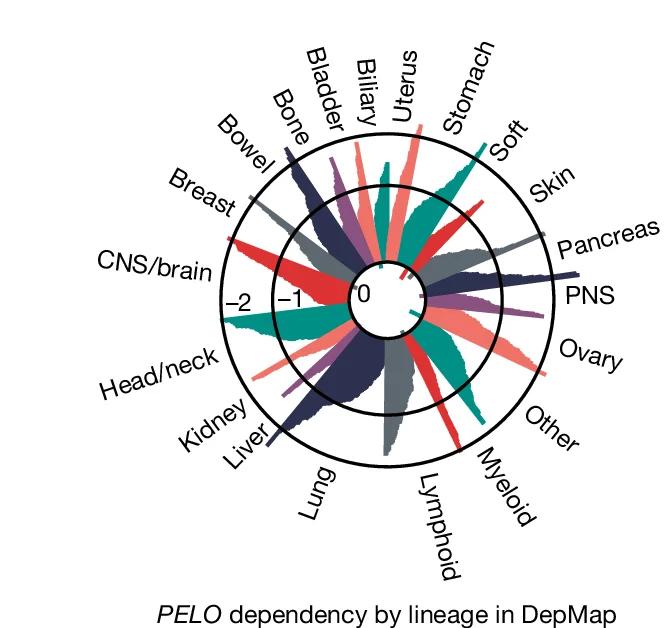 Open access visualization of Bar Plot, PELO Dependency Score, Cell Lines, OncoTree Lineage, DepMap