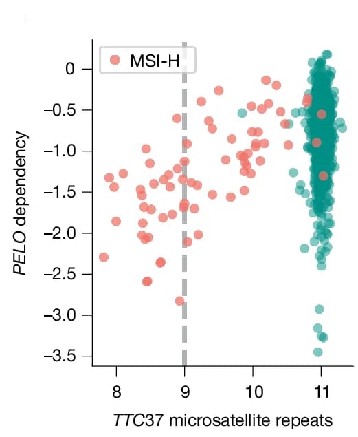 Open access visualization of Scatter Plot, Cell Lines, PELO Dependency, TTC37 Intron 29, Microsatellite Repeats