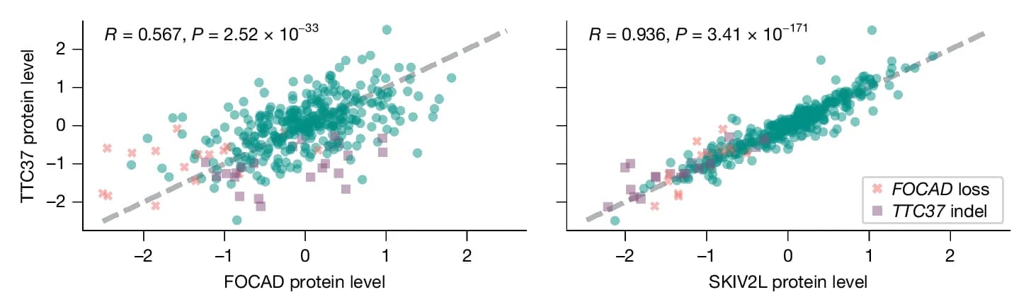 Open access visualization of Scatter Plot, Regression Plot, TTC37, FOCAD, SKIV2L