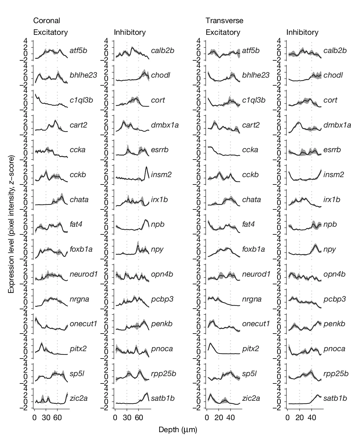 Open access visualization of Line Plot, Error Bars, Z-Scored Pixel Intensity, Inhibitory Marker Genes, Excitatory Marker Genes