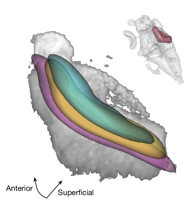 Open access visualization of 3D Plot, 3D Visualization, Gaussian Kernel Density, Molecular Layers, Viewing Angle