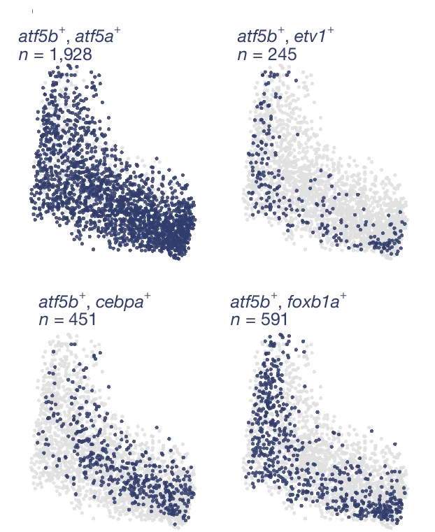 Open access visualization of Scatter Plot, UMAP, PCA, Combinatorial Expression, Marker Genes