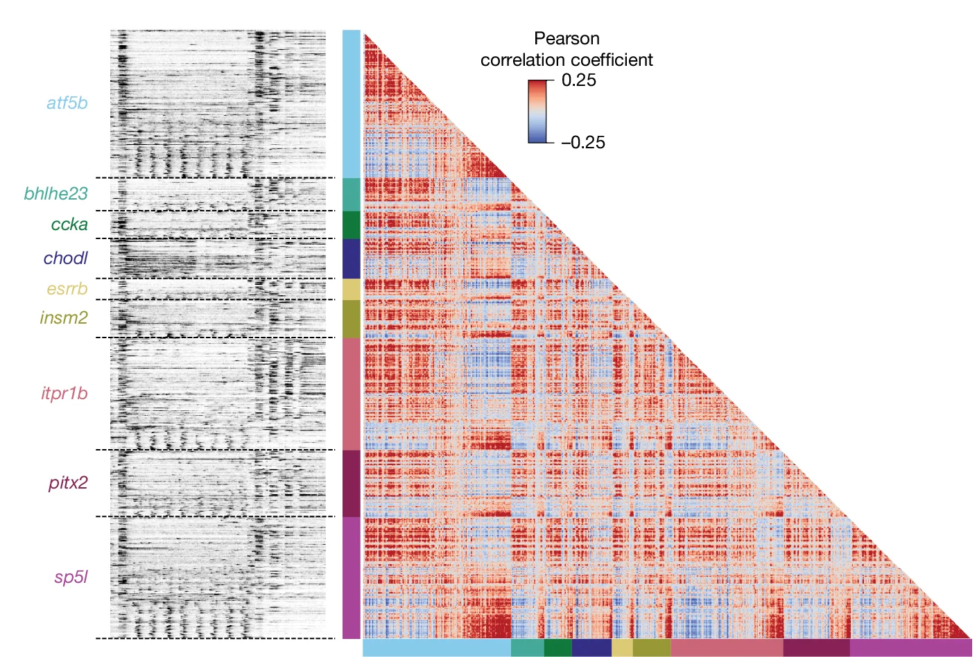 Open access visualization of Heatmap, Calcium Traces, T-Type, Functional ROIs, Local Motion