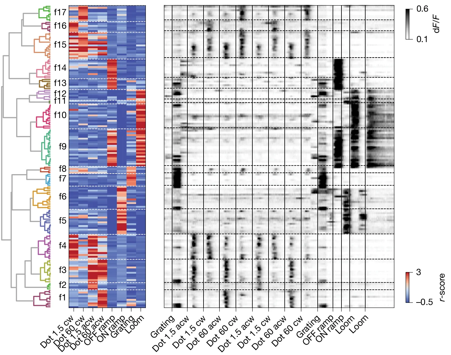 Open access visualization of Heatmap, Clustered, Hierarchical Clustering, Tectal Neurons, Functional Cell Types