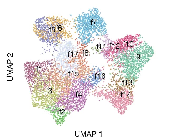 Open access visualization of Scatter Plot, UMAP, UMAP Embedding, Response Vectors, Functional Cell Type