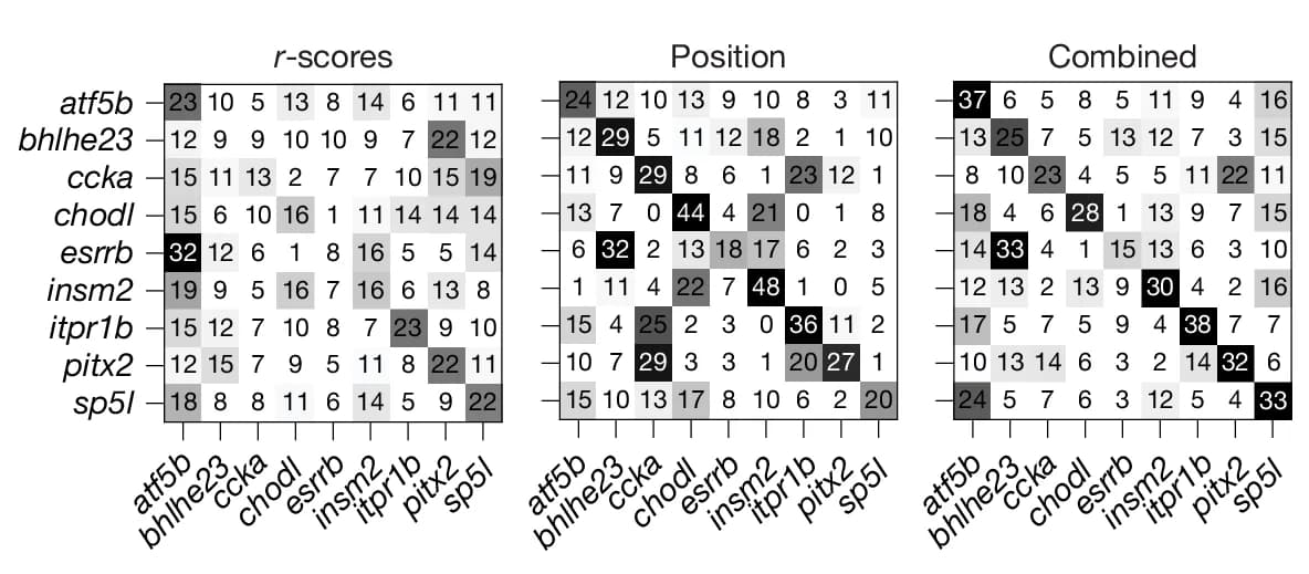 Open access visualization of Heatmap, Confusion Matrices, SVM Classifiers, Transcriptomic Identity, Response Vectors