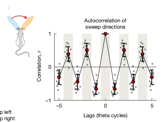 Open access visualization of Line Plot, Error Bars, Scatter Plot, Temporal Autocorrelograms, Sweep Direction