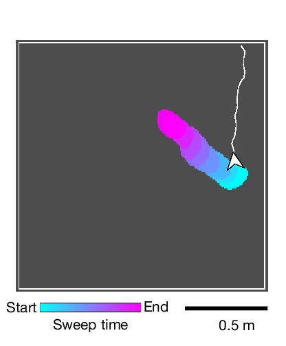 Open access visualization of Line Plot, Theta Sweeps, Hippocampal Cells, Decoding, Open Field Arena