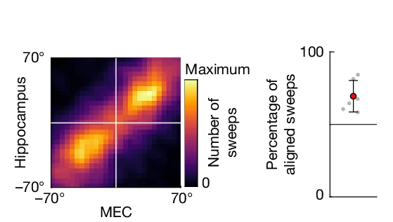 Open access visualization of Heatmap, Error Bars, Scatter Plot, Heat Map, Theta Sweeps