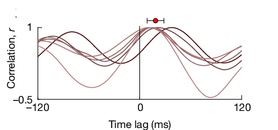 Open access visualization of Line Plot, Error Bars, Temporal Cross-Correlation, MEC Cells, Hippocampal Cells