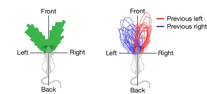 Open access visualization of Line Plot, Illustration, Head Direction, Decoded Direction, Polar Histogram