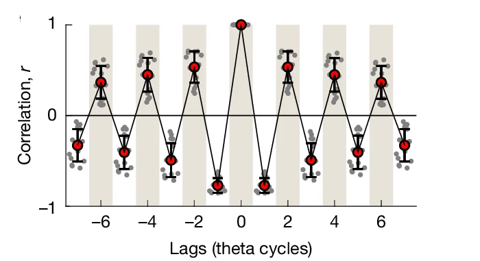 Open access visualization of Line Plot, Error Bars, Scatter Plot, Temporal Autocorrelograms, Decoded Directions