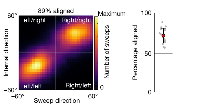 Open access visualization of Heatmap, Scatter Plot, Error Bars, Heat Map, Decoded Direction