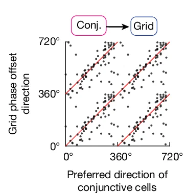 Open access visualization of Scatter Plot, Regression Plot, Preferred Direction, Conjunctive Grid Cells, Grid Phase Offset