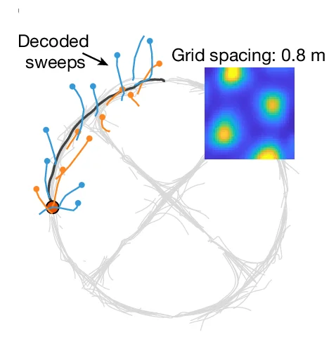 Open access visualization of Line Plot, Scatter Plot, Heatmap, Wagon-Wheel Track, Grid Module