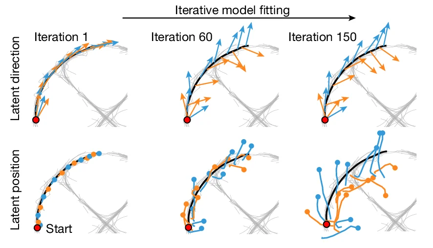Open access visualization of Scatter Plot, Line Plot, LMT Model, Neural Data, Latent Trajectory