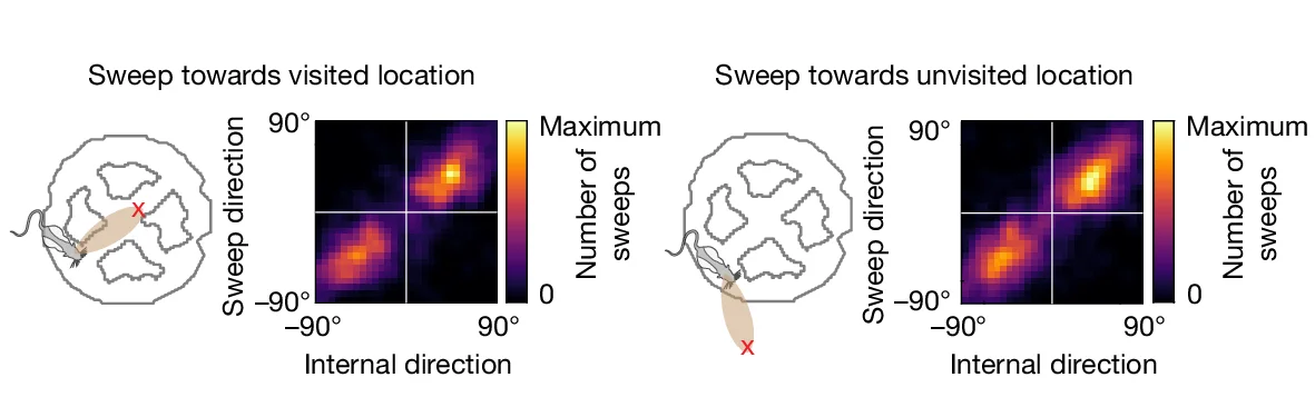 Open access visualization of Heatmap, Sweeps, Internal Direction, LMT Latent Variables, Head-Centred Coordinates