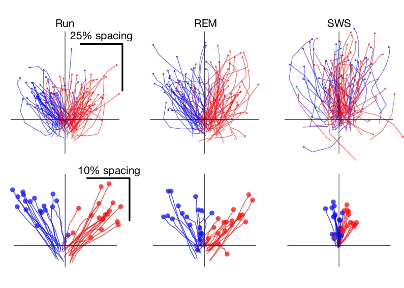 Open access visualization of Line Plot, Decoded Trajectories, Grid Module, Decoded Direction, Spatial Representations
