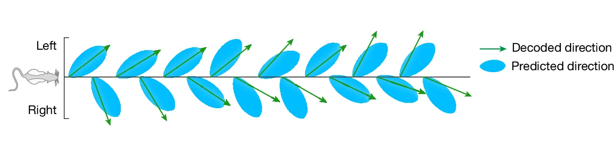 Open access visualization of Illustration, Sweep Directions, Empirically Driven Agent, LMT Model, Theta Cycles