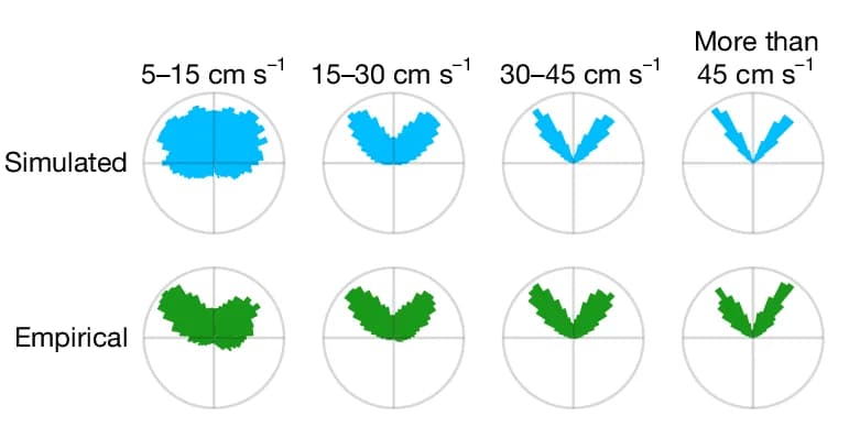 Open access visualization of Scatter Plot, Other, Running Speed, Sweep Direction Distribution, Head-Centred Sweep Directions
