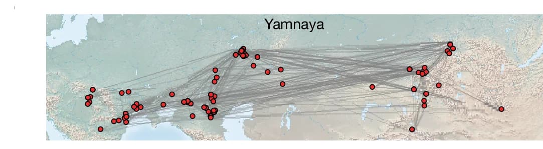 Open access visualization of Geo Map, Network, Scatter Plot, IBD, Yamnaya