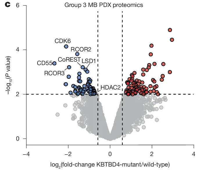 Open access visualization of Scatter Plot, HA IP Immunoblots, 293T Cells, FLAGCoREST, HAKBTBD4 Variants