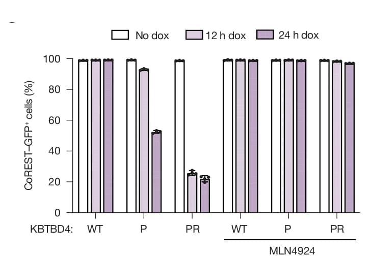 Open access visualization of Bar Plot, Error Bars, Clustered, Flow Cytometry, GFP Cells