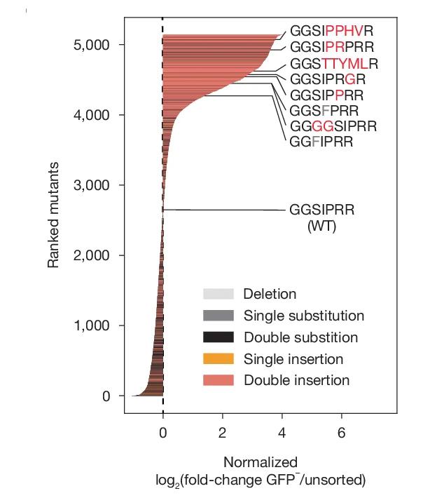 Open access visualization of Bar Plot, Stacked Bar Plot, Waterfall Plot, KBTBD4, Variants