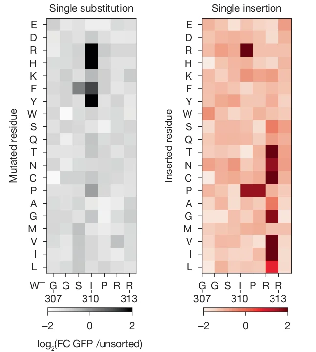 Open access visualization of Heatmap, DMS, Single Substitutions, Single Insertions, Heatmaps