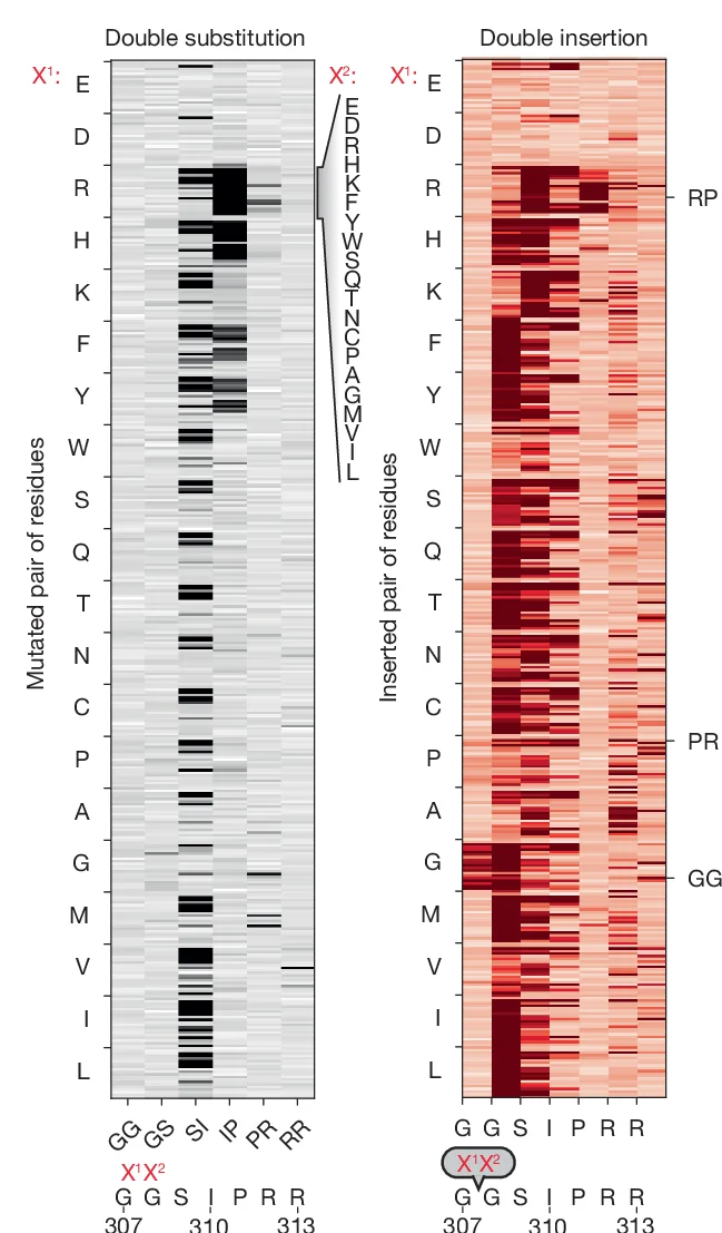 Open access visualization of Heatmap, DMS, Double Substitutions, Double Insertions, Heatmaps