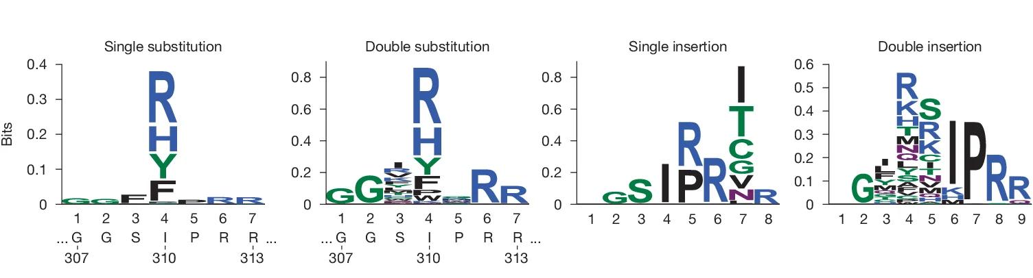 Open access visualization of Bar Plot, Sequence Logo, Relative Entropy, Amino Acids, Single Substitution