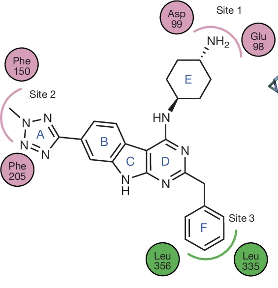 Open access visualization of Chemical Structure, Ligand Plot, UM171, KBTBD4, HDAC1