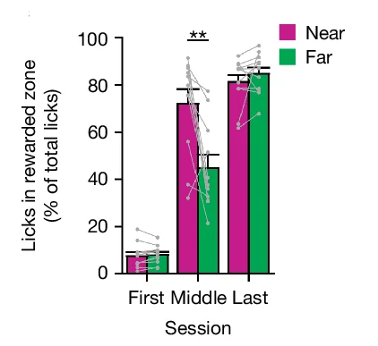 Open access visualization of Bar Plot, Clustered, Error Bars, Scatter Plot, Licks