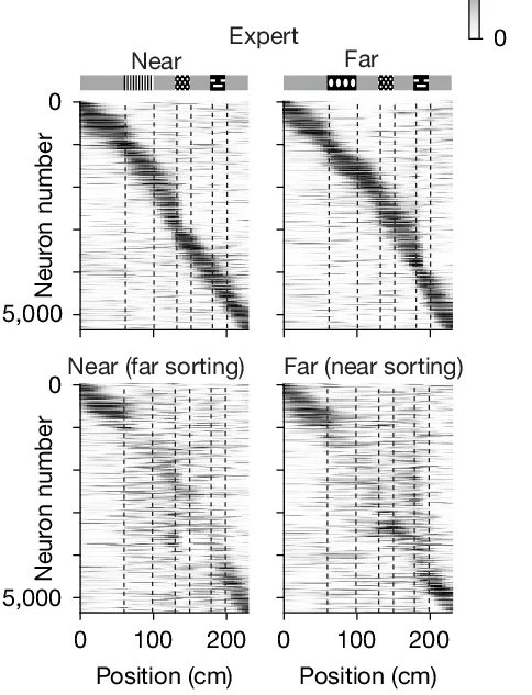 Open access visualization of Heatmap, Neural Activity, Track Position, Near Trials, Far Trials