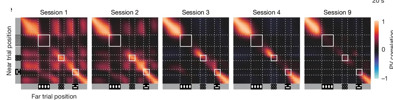 Open access visualization of Heatmap, Population Vector, Cross-Correlation Matrices, Track Positions