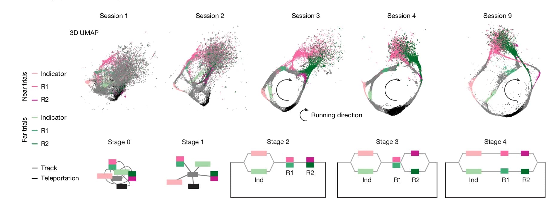 Open access visualization of UMAP, Scatter Plot, Illustration, Workflow, 3D UMAPs