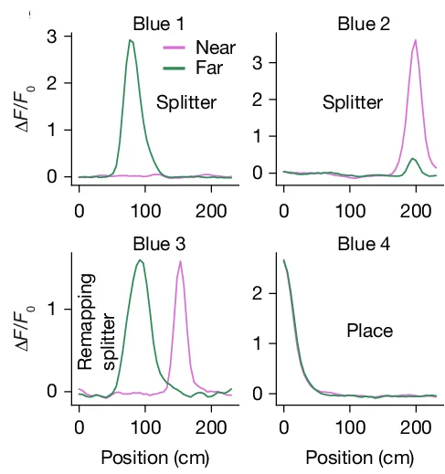 Open access visualization of Line Plot, Trial-Averaged Tuning Curves, Near Trials, Far Trials, Tuning Phenotype