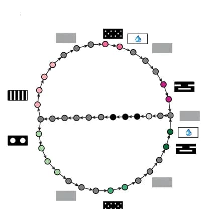 Open access visualization of Network, Pathway, Transition Graph, CSCG, Latent States
