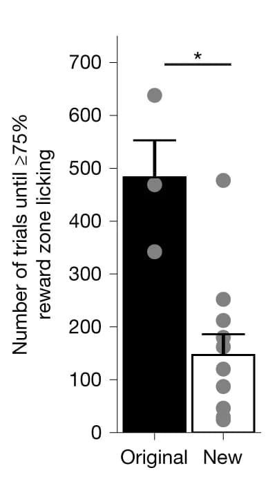 Open access visualization of Bar Plot, Error Bars, Scatter Plot, Trials, Licking Performance